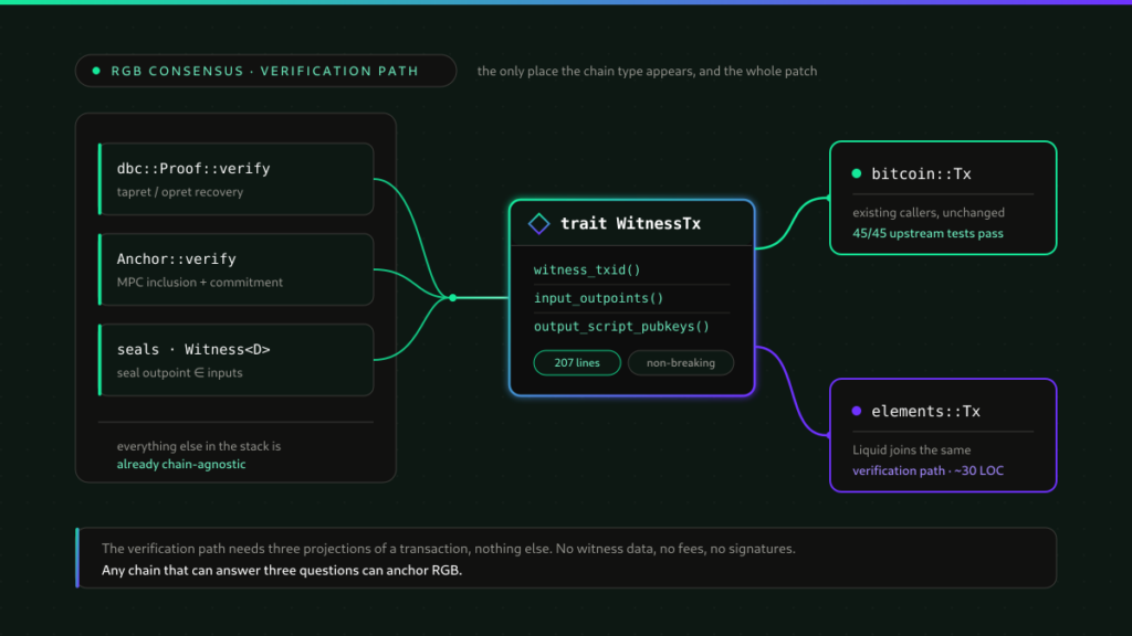 RGB consensus verification path: a 207-line WitnessTx adapter lets Bitcoin and Liquid transactions pass through the same RGB verification
