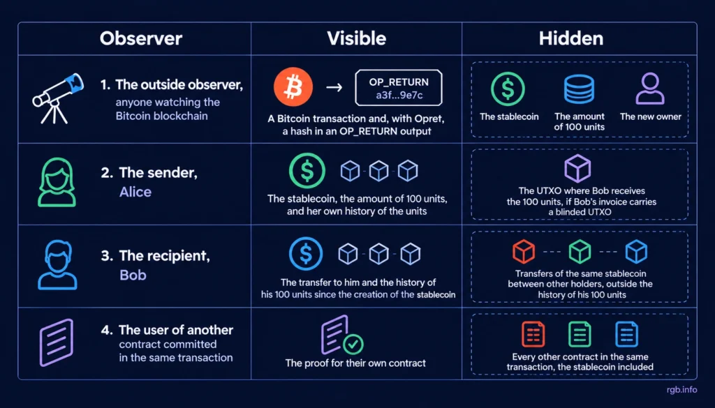 Privacy in RGB: summary of what four observers of a stablecoin transfer can see and what stays hidden